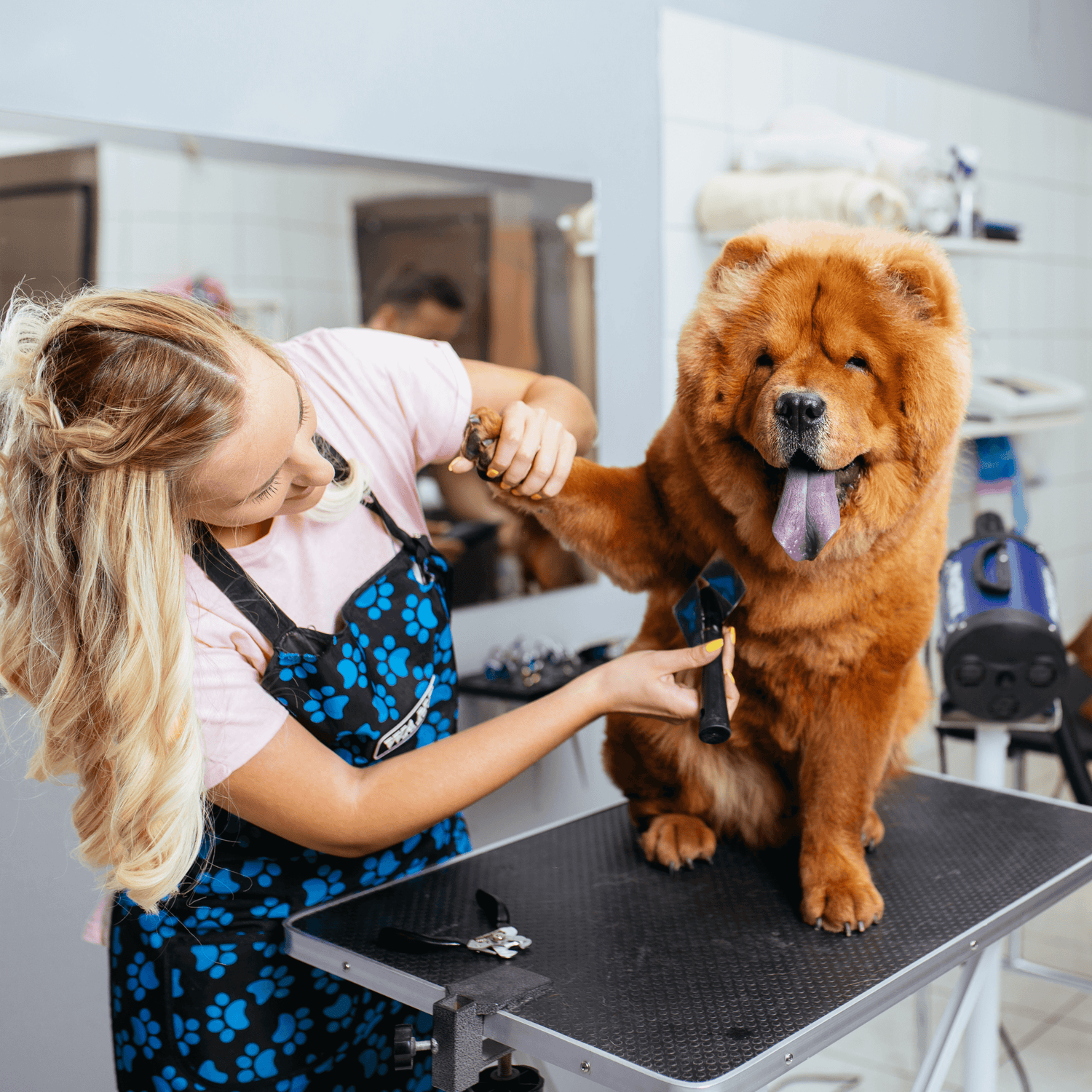 Pet Grooming