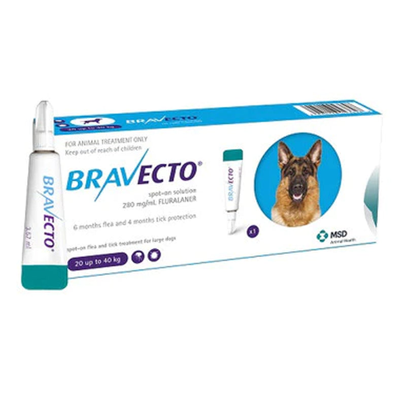 Bravecto Spot-On 1000Mg for Large Dogs &gt;2040 Kg (44-88 Lbs)