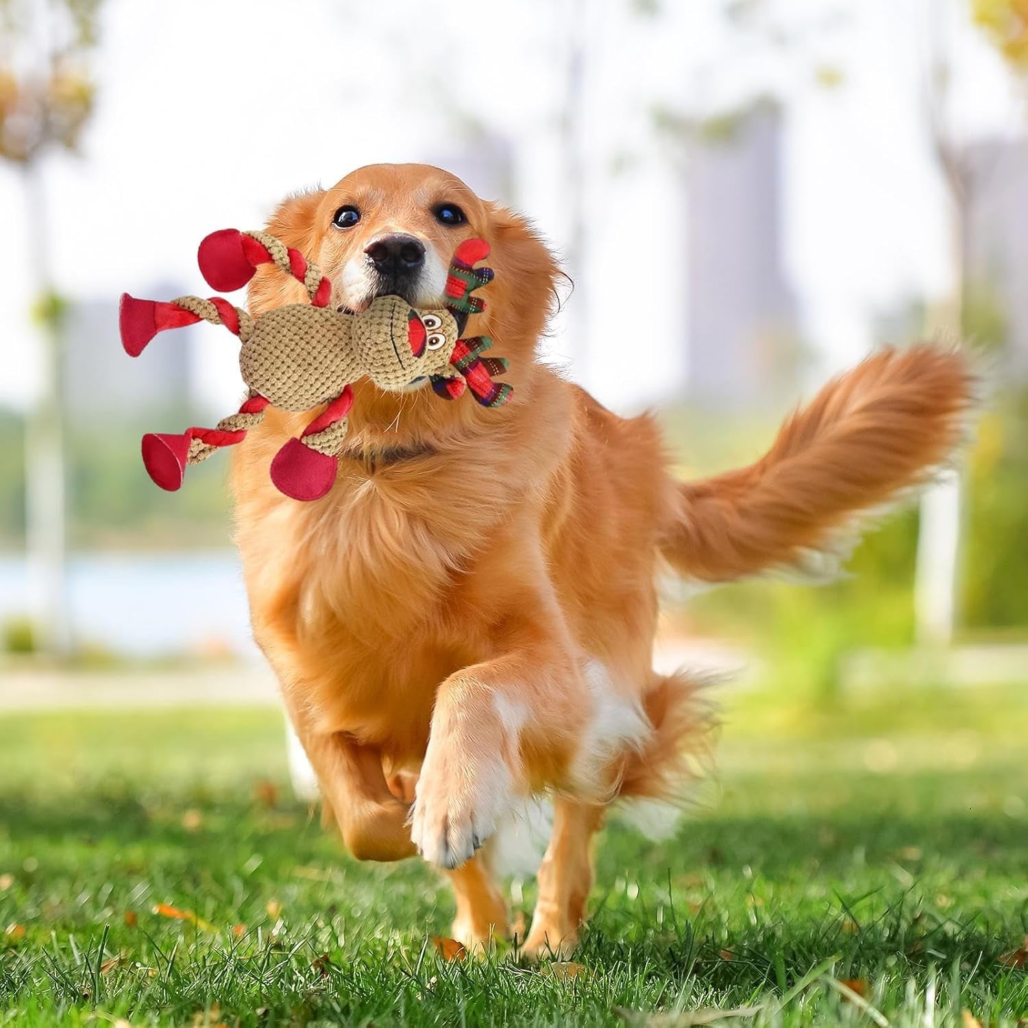 Weihnachtskauen Spielzeug Für Hunde – Weihnachten Plüsch-Hundespielzeug Zum Kauen – Süßer Hund Interaktives Spielzeug Für Haustiere, Bequemes Training Und Entspannendes Spielzeug Für Indoor-, Zuhause,