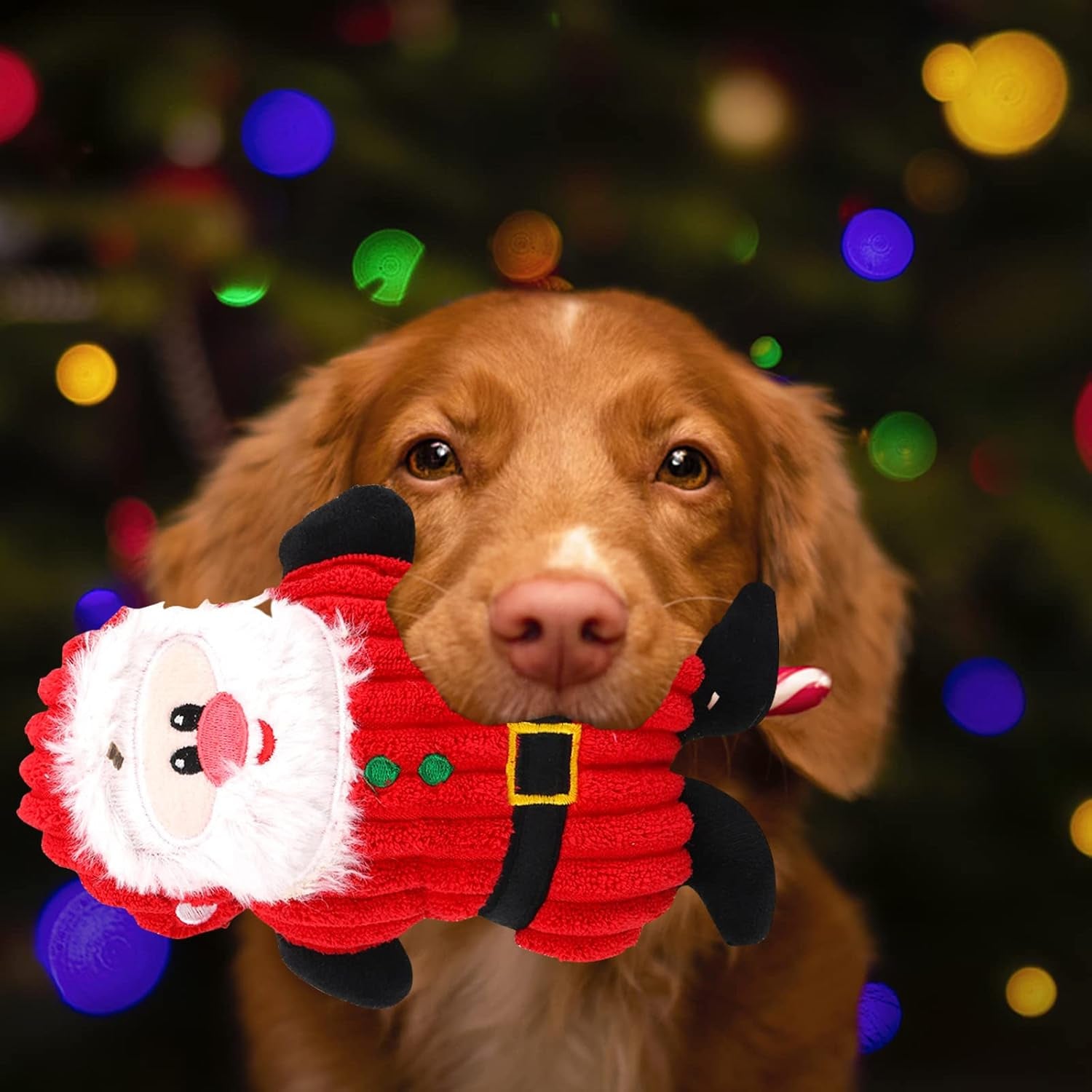 Hund Weihnachten Spielzeug,2Pcs Weihnachten Hundespielzeug Quietschend,Interaktive Hundespielzeug Kleine Hunde Unzerstörbar Weihnachten Intelligenz Weihnachten Geschenke,Für Hund Geschenk Weihnachten