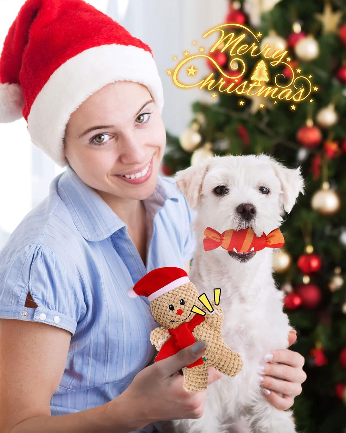 Christmas Dog Toys with Dog Christmas Stocking, Adorable Dog Gifts for Puppy Small Medium Dog