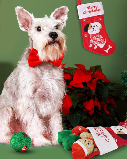 Christmas Dog Toys with Dog Christmas Stocking, Adorable Dog Gifts for Puppy Small Medium Dog