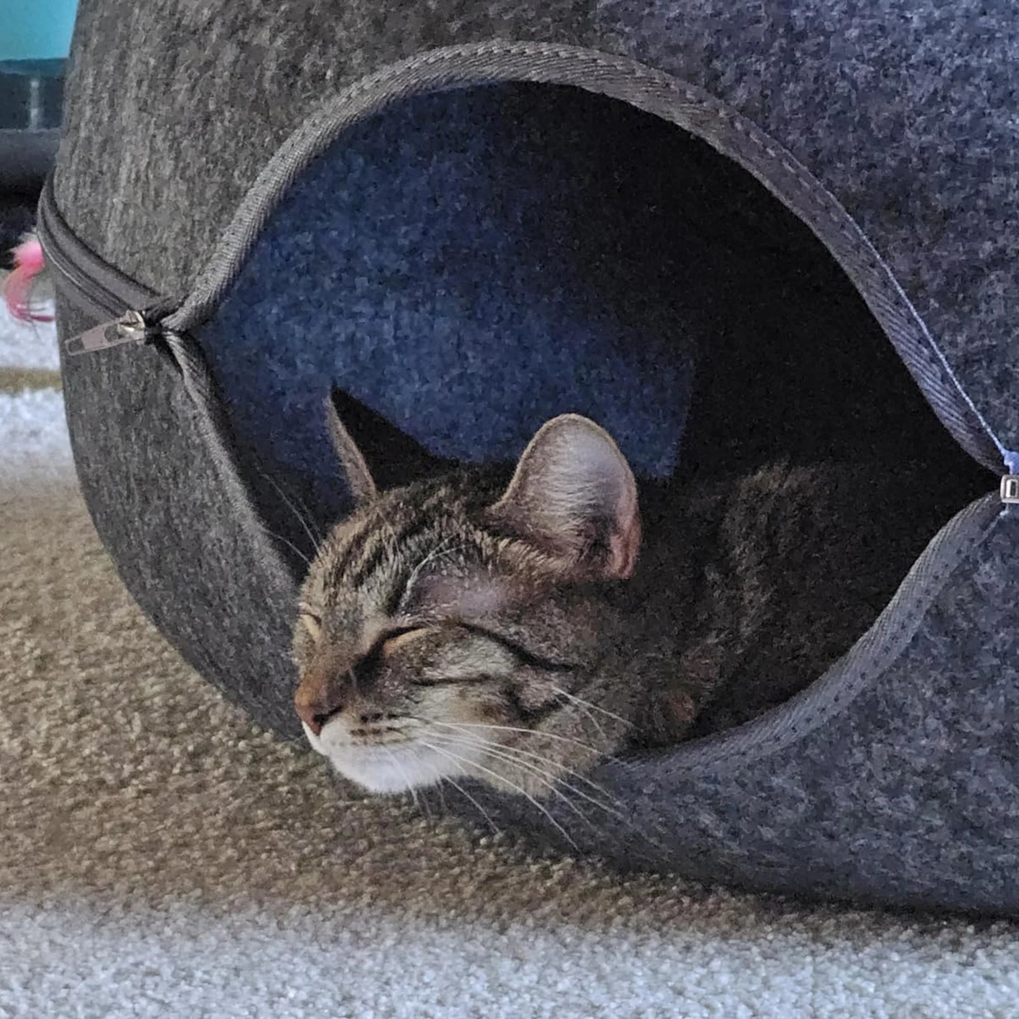 Cat Donut Tunnel, Peekaboo Cat Cave, Cat Tunnel for Large Cats up to 15Lbs | Detachable round Felt &amp; Washable Interior Cat Hideout, Great for Indoor Cats