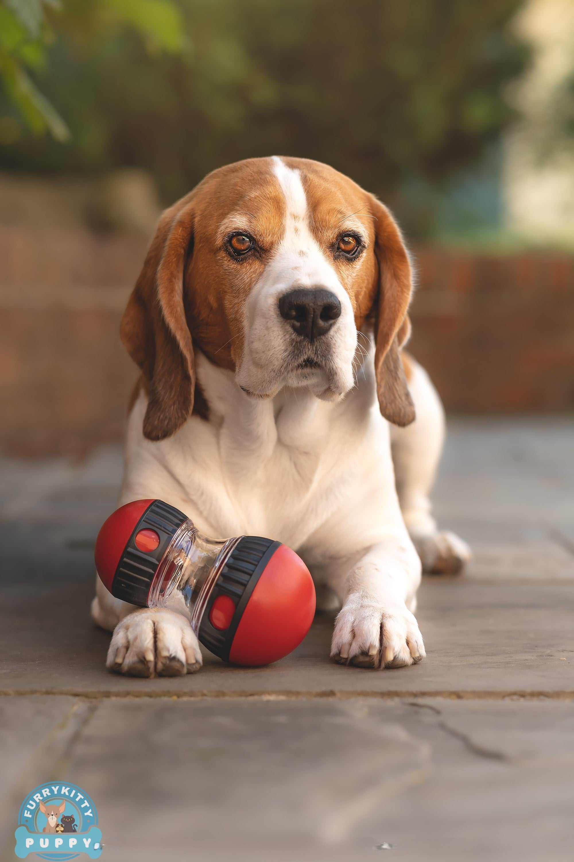 IntelliPlay Tumbler Feeder Ball for Dogs