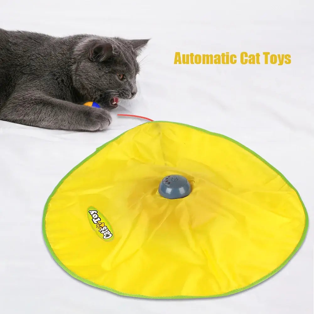 Excite Your Cat with 4-Speed Fun!