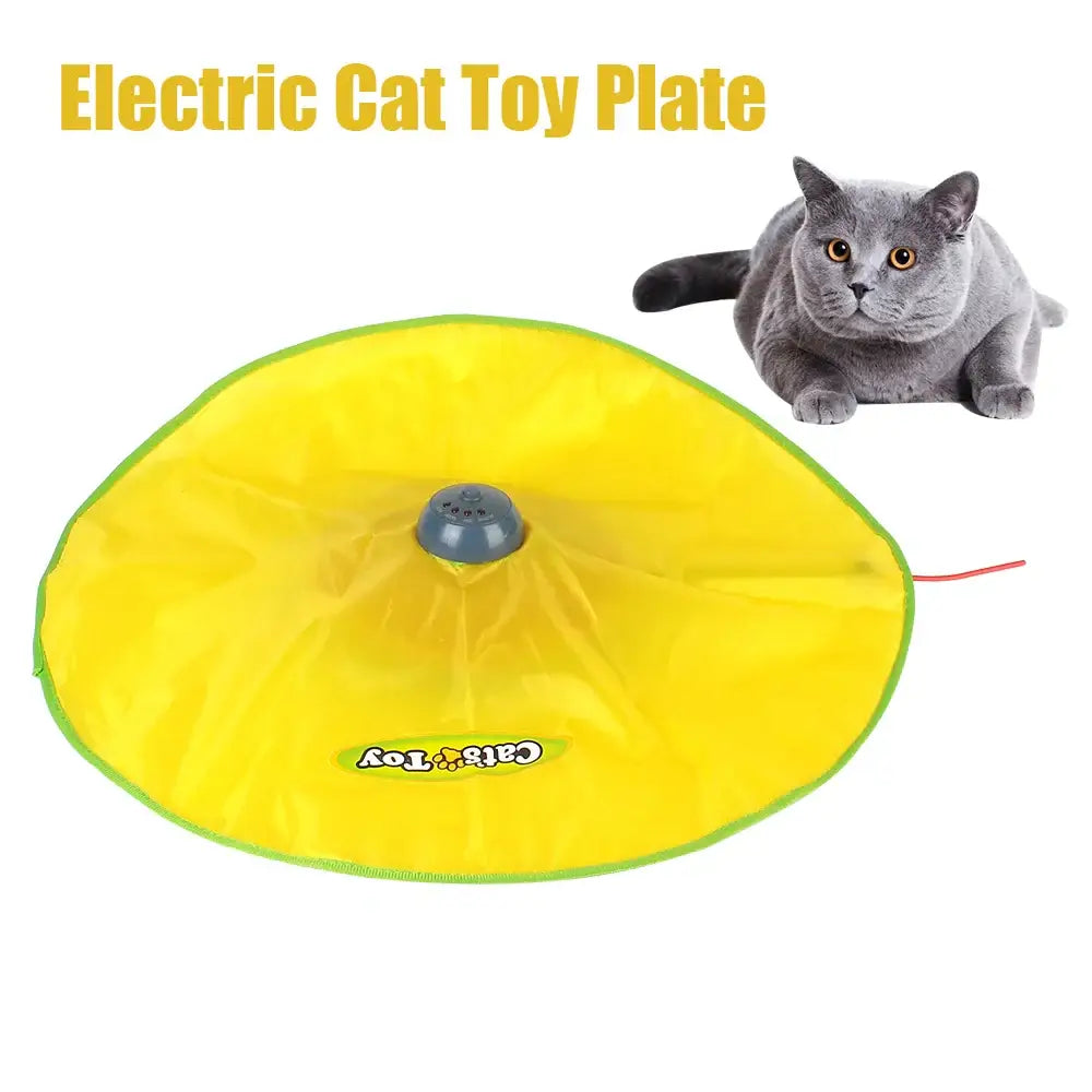 Excite Your Cat with 4-Speed Fun!