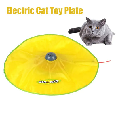 Excite Your Cat with 4-Speed Fun!