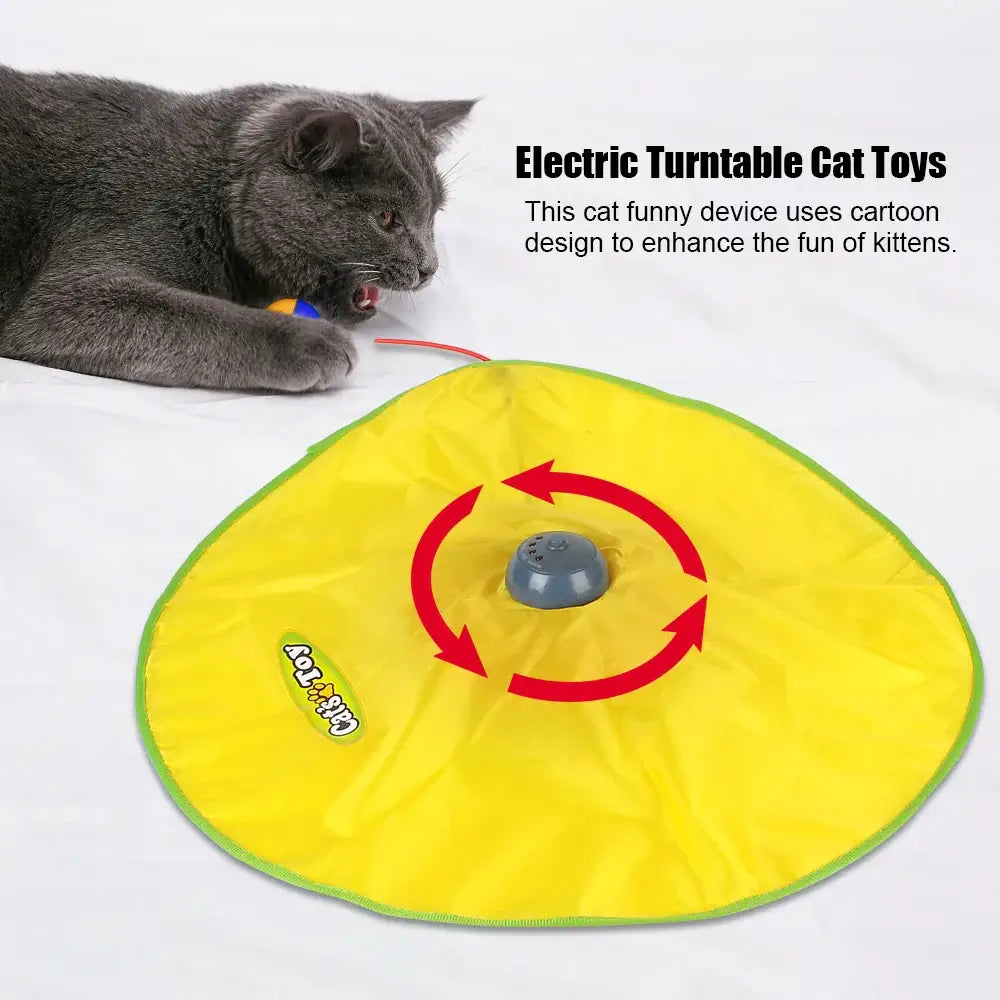 Excite Your Cat with 4-Speed Fun!