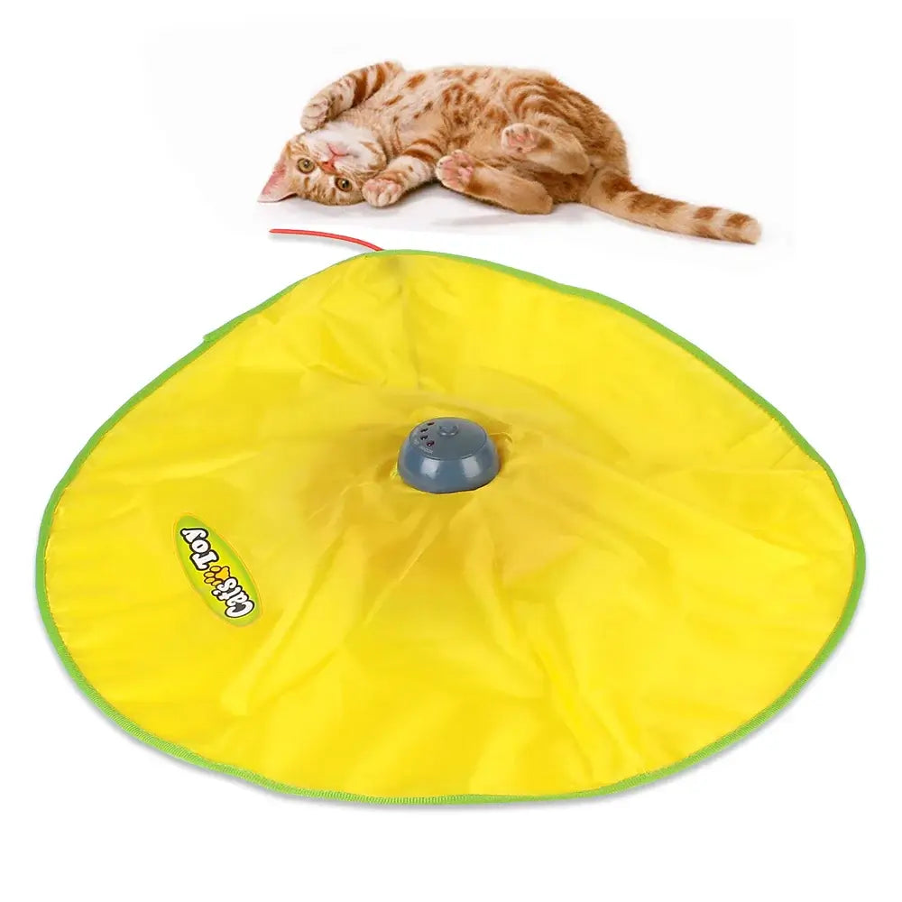 Excite Your Cat with 4-Speed Fun!