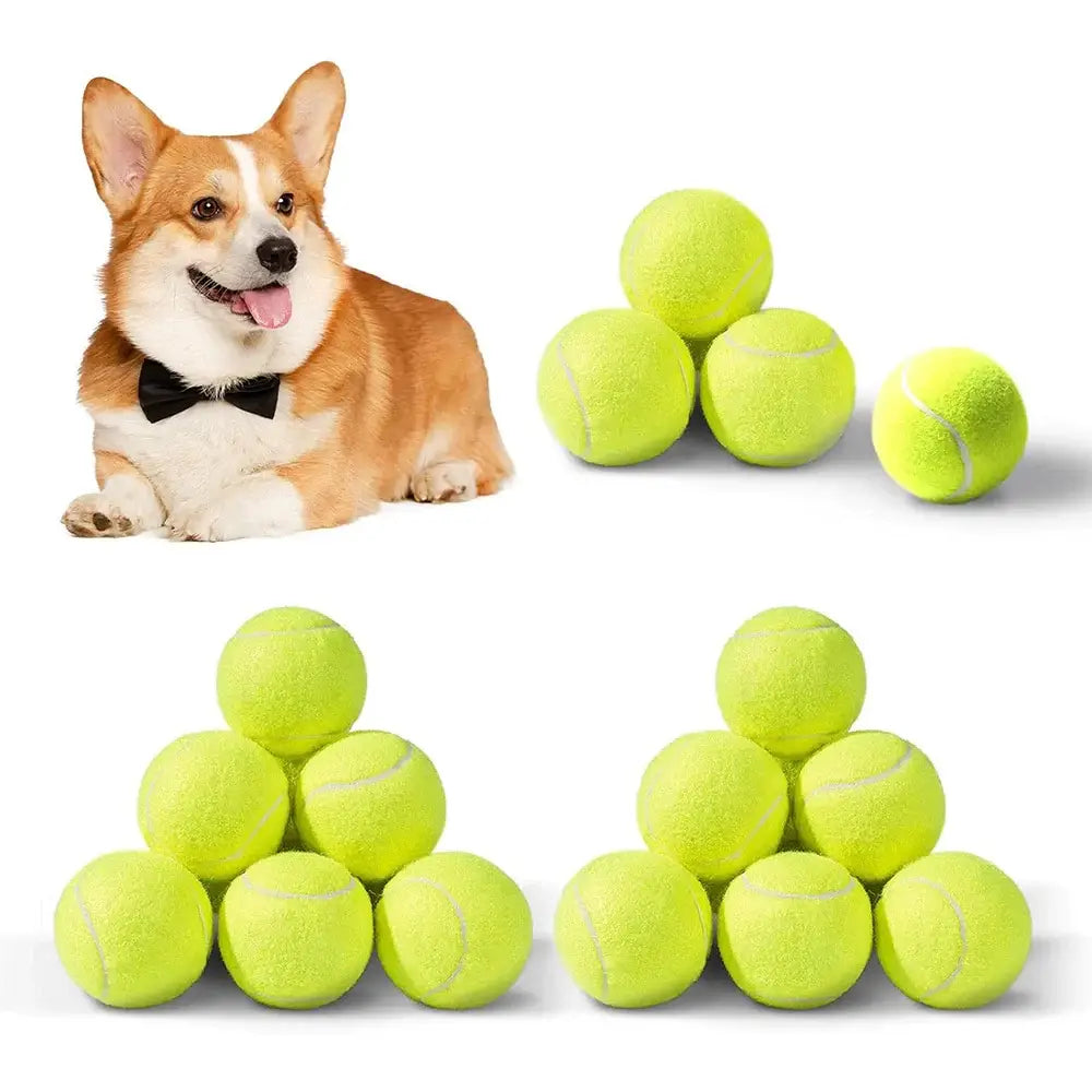 Professional Tennis Balls for Automatic Dog Tennis Launcher – 5cm Special Edition