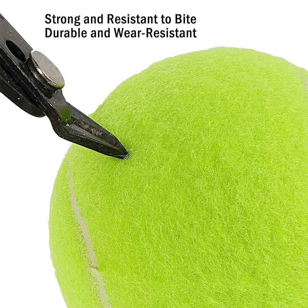 Professional Tennis Balls for Automatic Dog Tennis Launcher – 5cm Special Edition