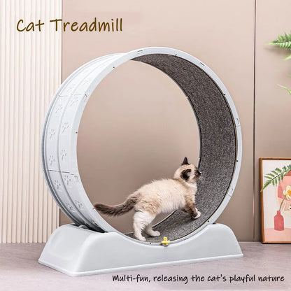 Purrfect Fitness Revolution: The Ultimate Cat Treadmill for Active and Healthy Pets - Furrykittypuppy