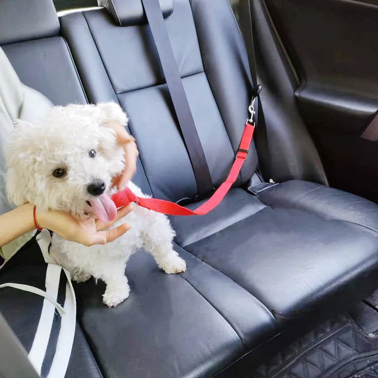 Pet Car Seat Belt - Furrykittypuppy