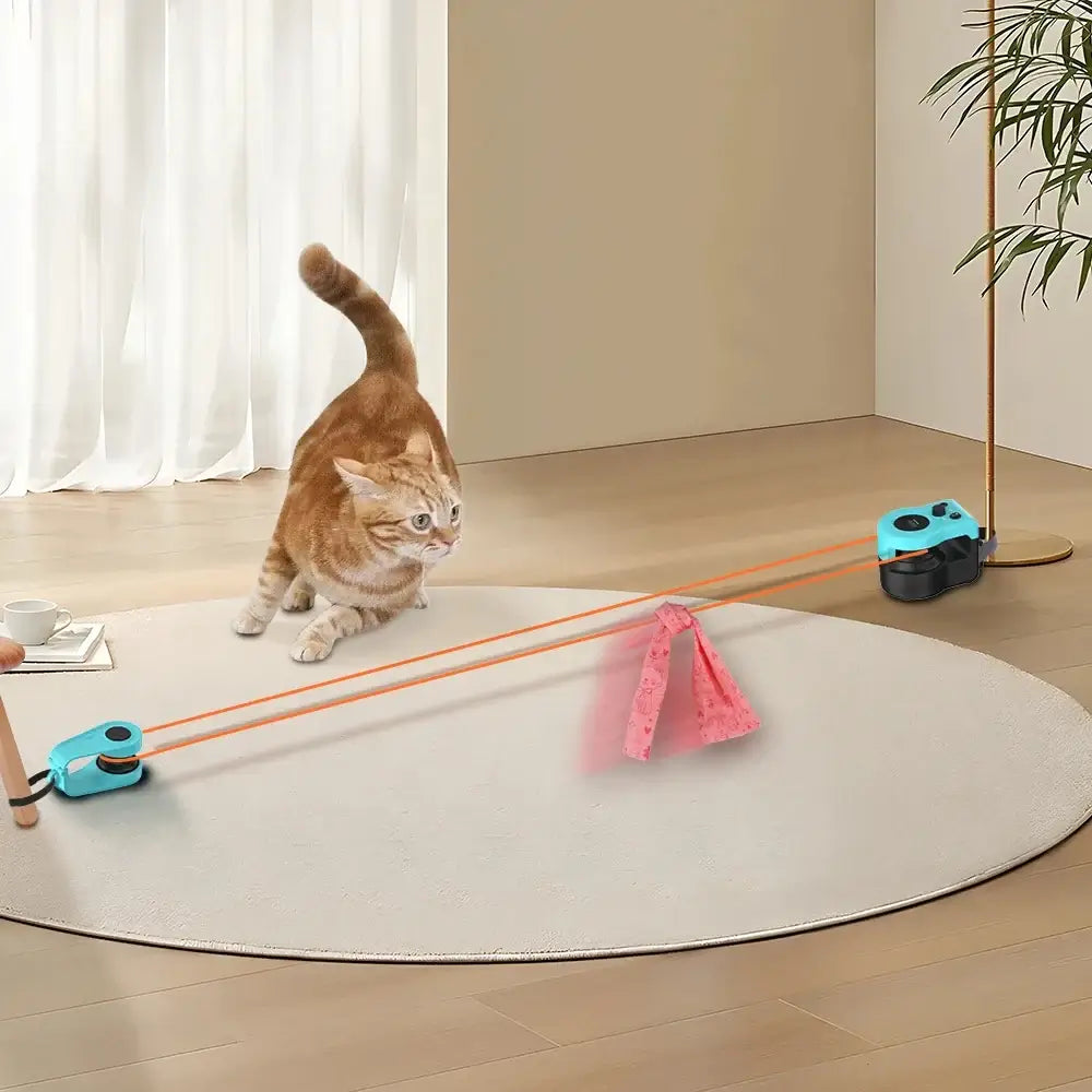 Interactive Cat Treadmill: The Ultimate Indoor Exercise and Hunting Experience