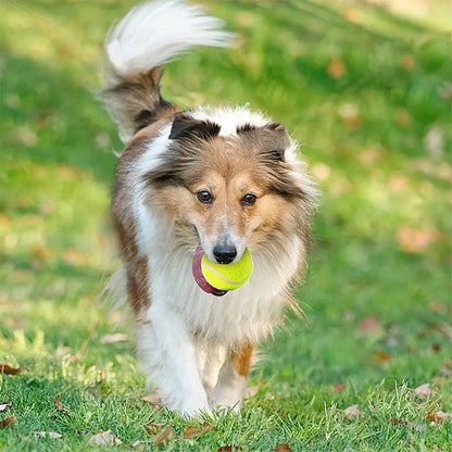 Professional Tennis Balls for Automatic Dog Tennis Launcher – 5cm Special Edition