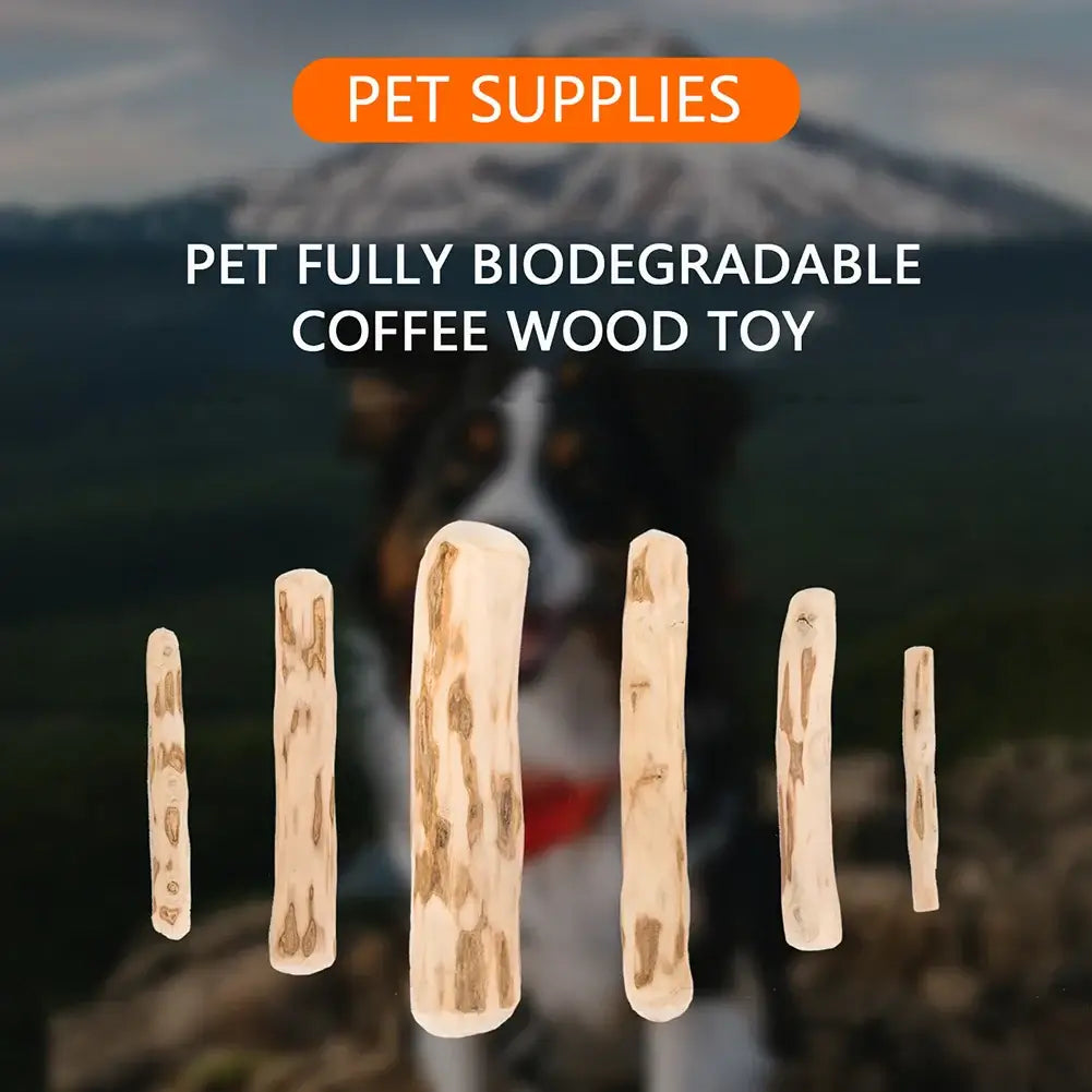 Durable Coffee Wood Chew Stick for Dogs – Natural Anxiety Relief &amp; Dental Care