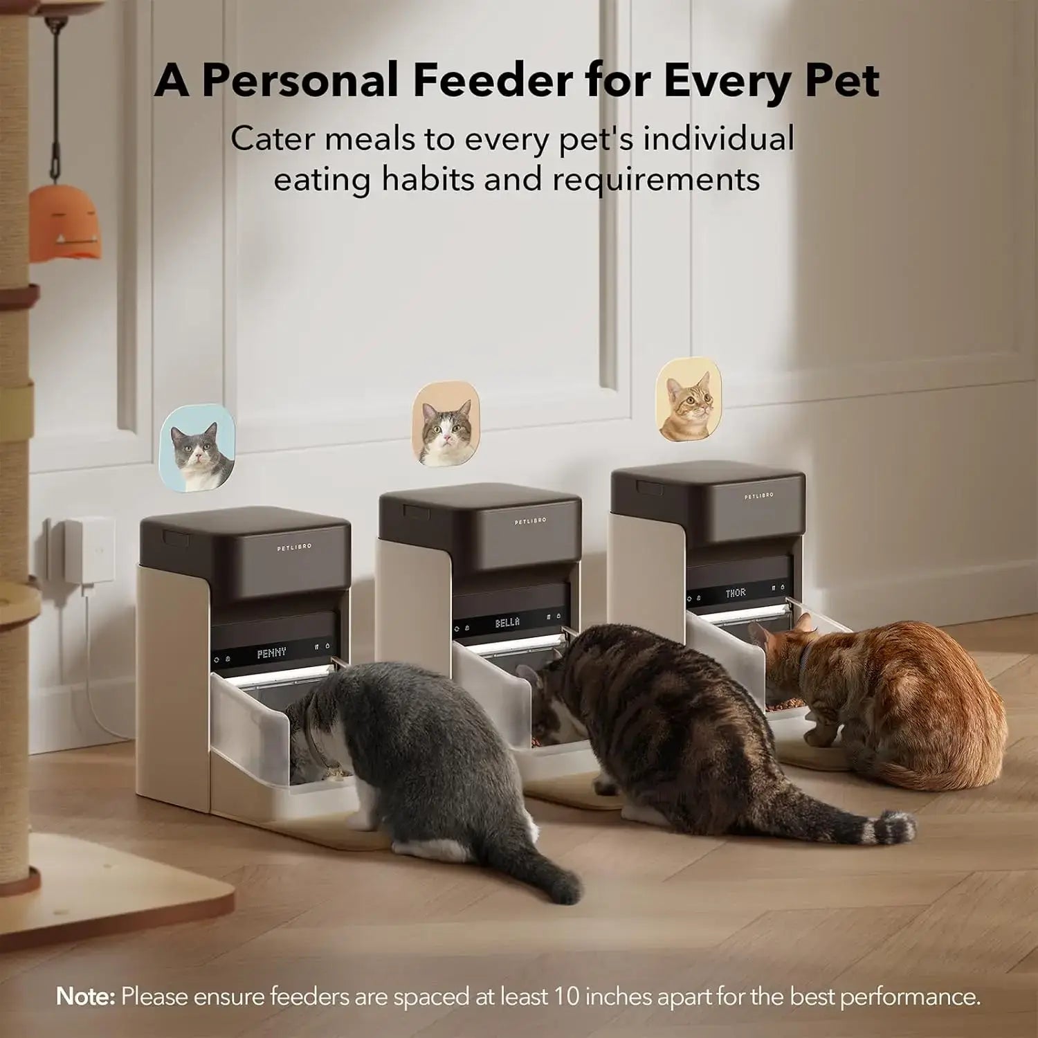 Smart Cat Feeder with 5G Wi-Fi: Effortless Mealtime Management for Your Pet