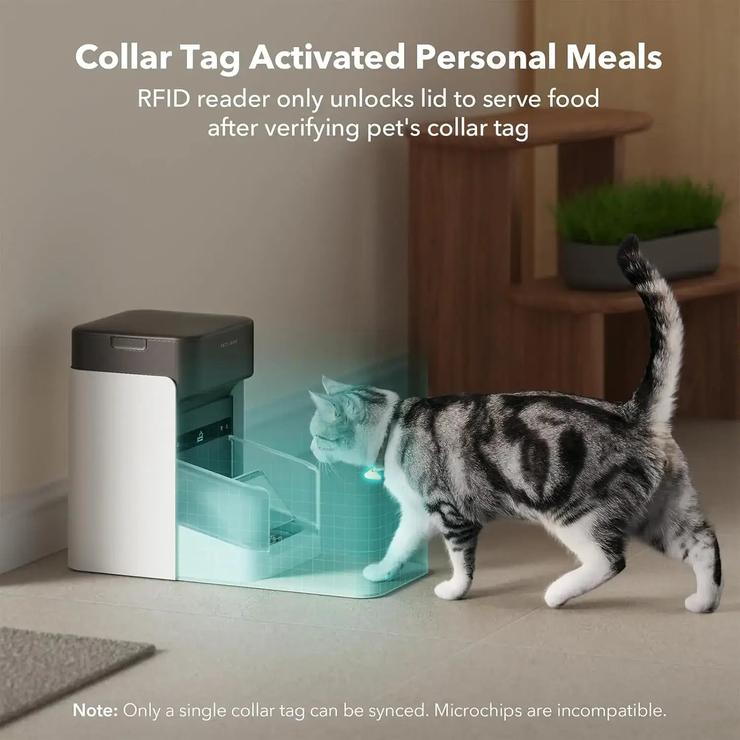 Smart Cat Feeder with 5G Wi-Fi: Effortless Mealtime Management for Your Pet