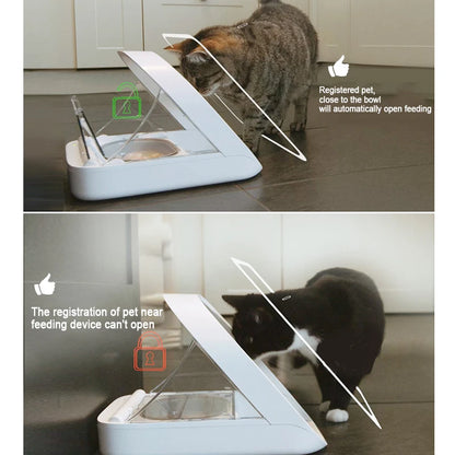 Revolutionize Pet Feeding with the Anti-Snatch Smart Feeder Accessories - Furrykittypuppy