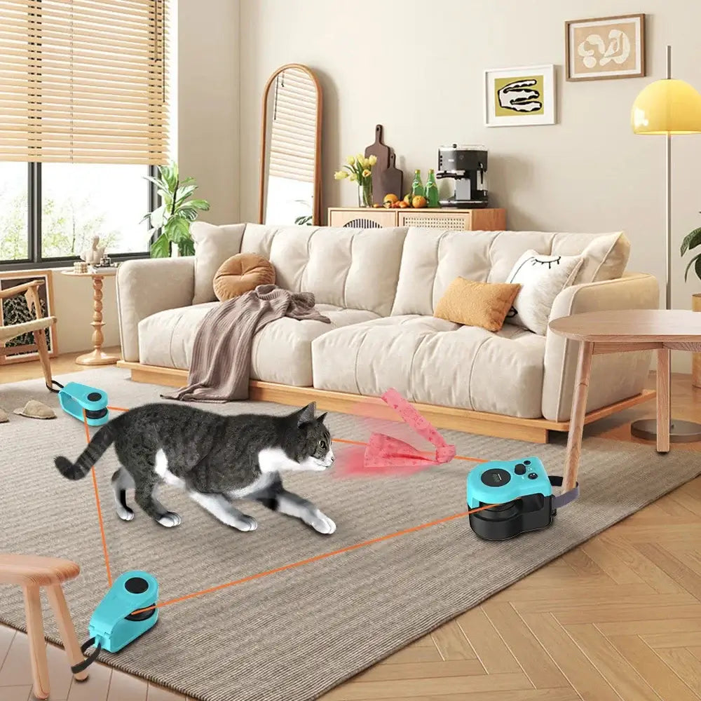 Interactive Cat Treadmill: The Ultimate Indoor Exercise and Hunting Experience