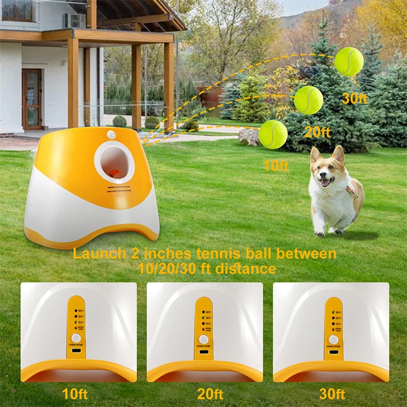 Automatic Dog Tennis Launcher - Furrykittypuppy