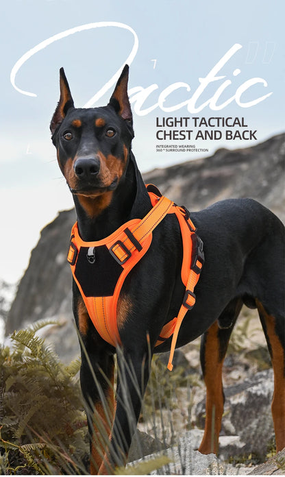 Ultimate No-Pull Nylon Reflective Dog Harness by Brilliant Truelove - Furrykittypuppy