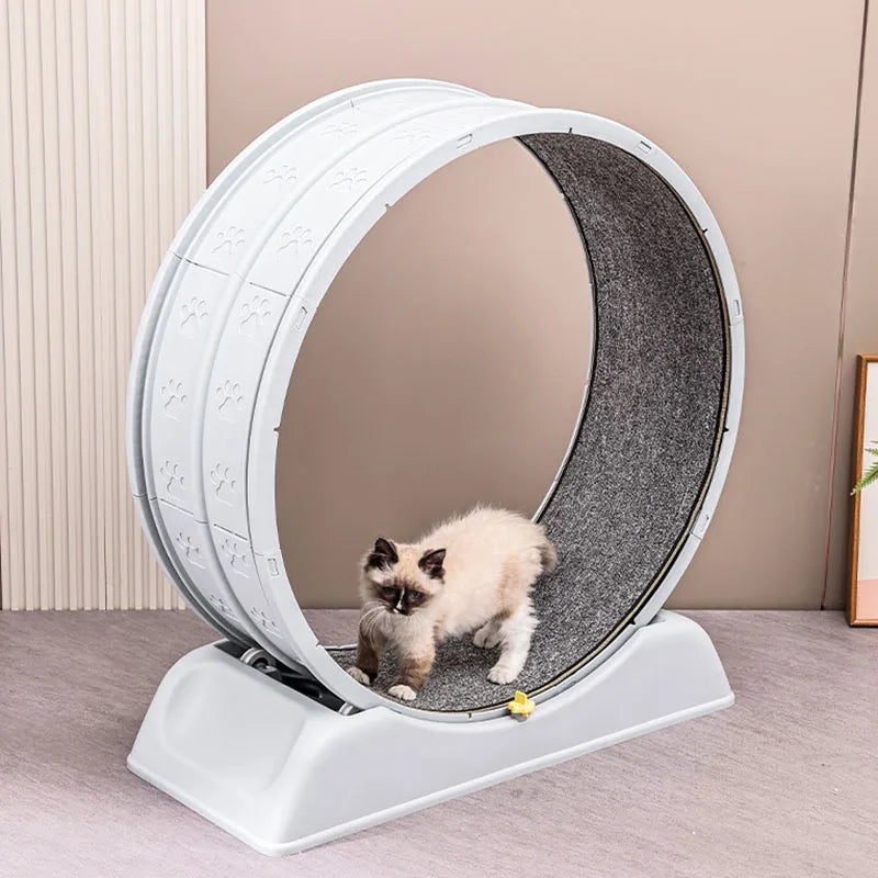 Purrfect Fitness Revolution: The Ultimate Cat Treadmill for Active and Healthy Pets - Furrykittypuppy