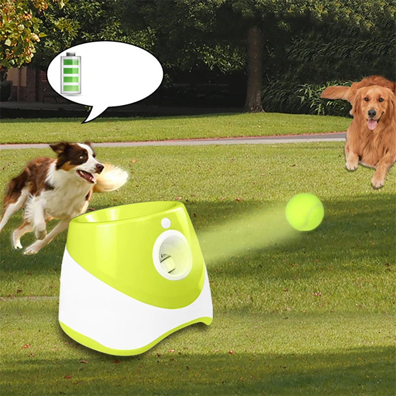 Automatic Dog Tennis Launcher - Furrykittypuppy