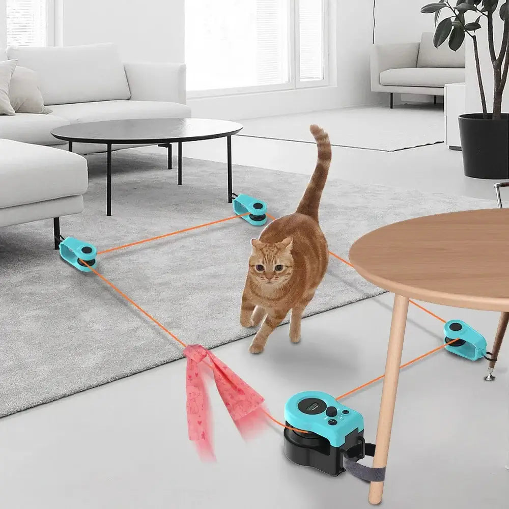 Interactive Cat Treadmill: The Ultimate Indoor Exercise and Hunting Experience