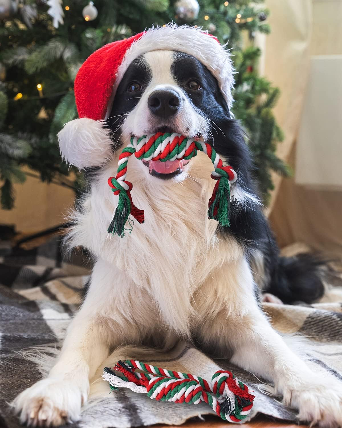 Christmas Dog Toys with Dog Christmas Stocking, Adorable Dog Gifts for Puppy Small Medium Dog