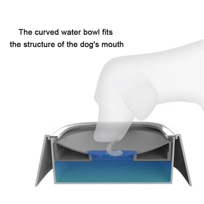 Dog And Cat Drinking Water Bowl - Furrykittypuppy