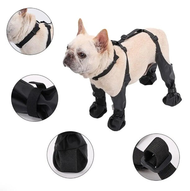 Adjustable Waterproof Dog Shoes - Furrykittypuppy