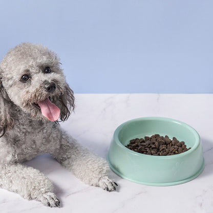 Pet Feeding Bowl - Furrykittypuppy