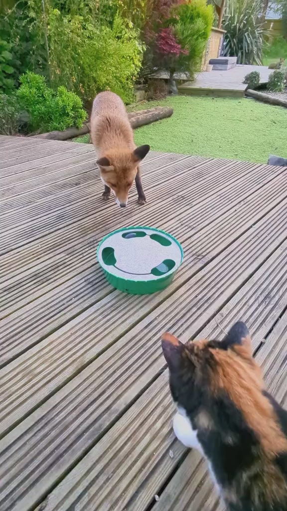 Interactive Cat Toy Turntable: Engage, Play, Train