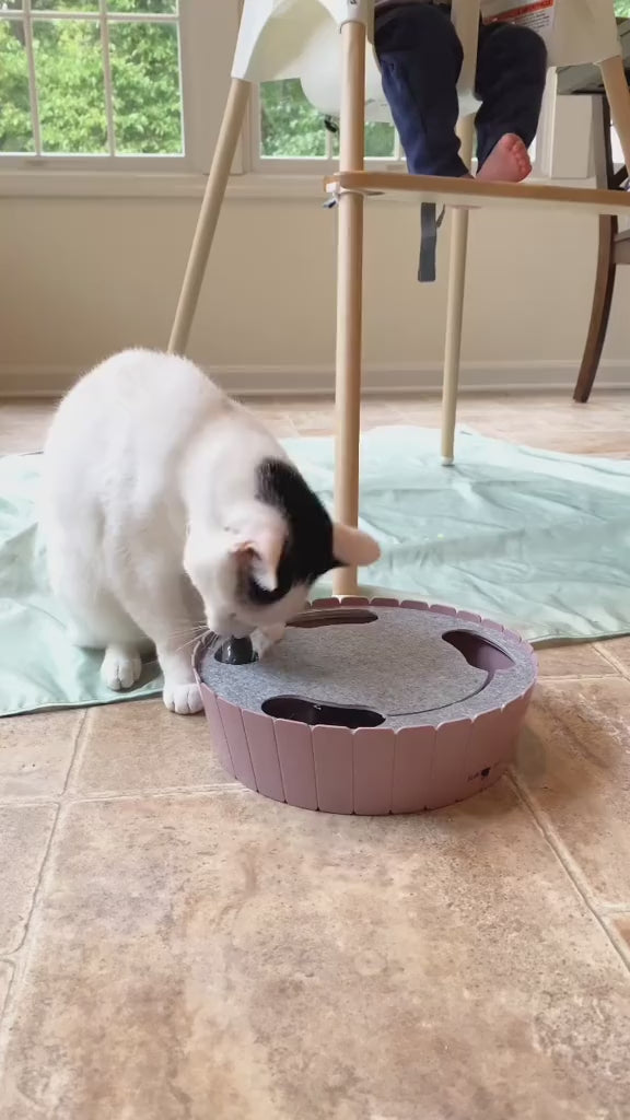 Interactive Cat Toy Turntable: Engage, Play, Train