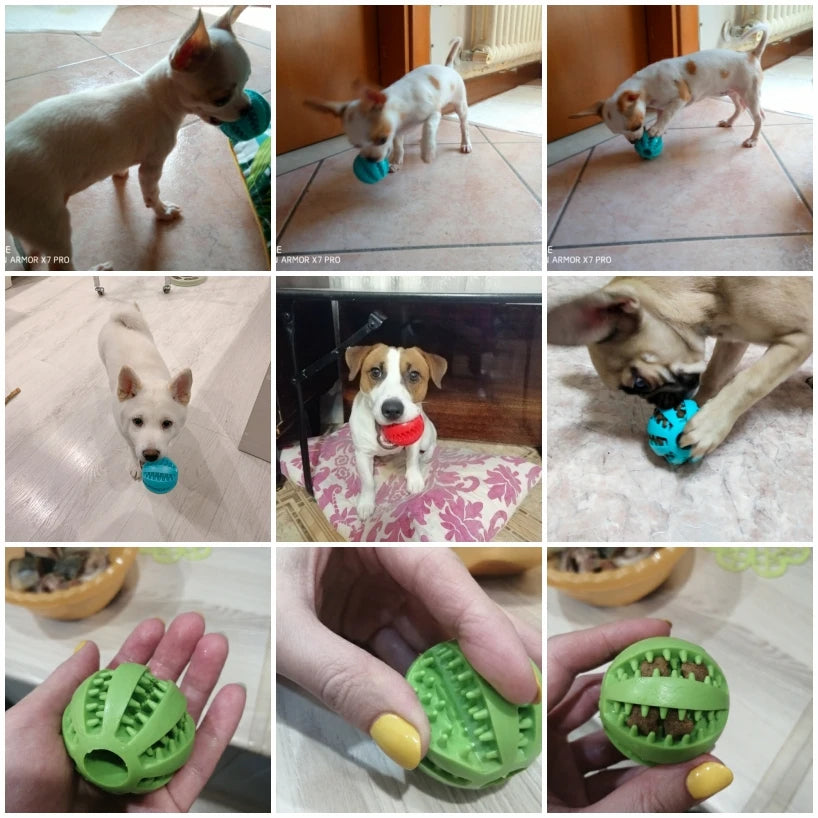 Dog Chew Treat Toy - Furrykittypuppy